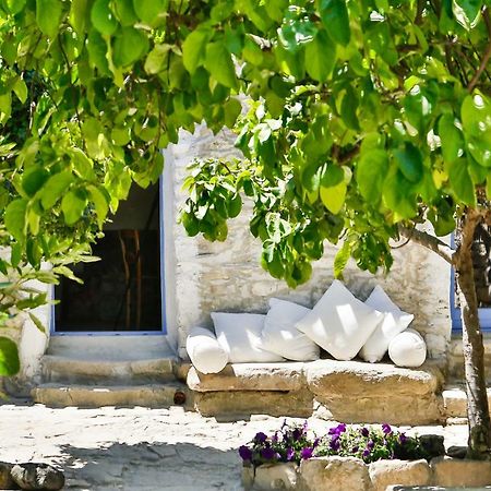 Mario Cesare - Exclusive B&B Gergei Dış mekan fotoğraf